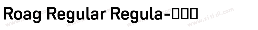 Roag Regular Regula字体转换